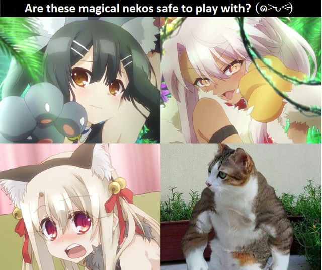 Very safe UmU