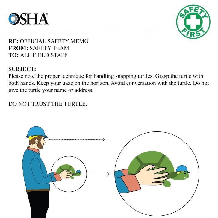 DO NOT TRUST THE TURTLE