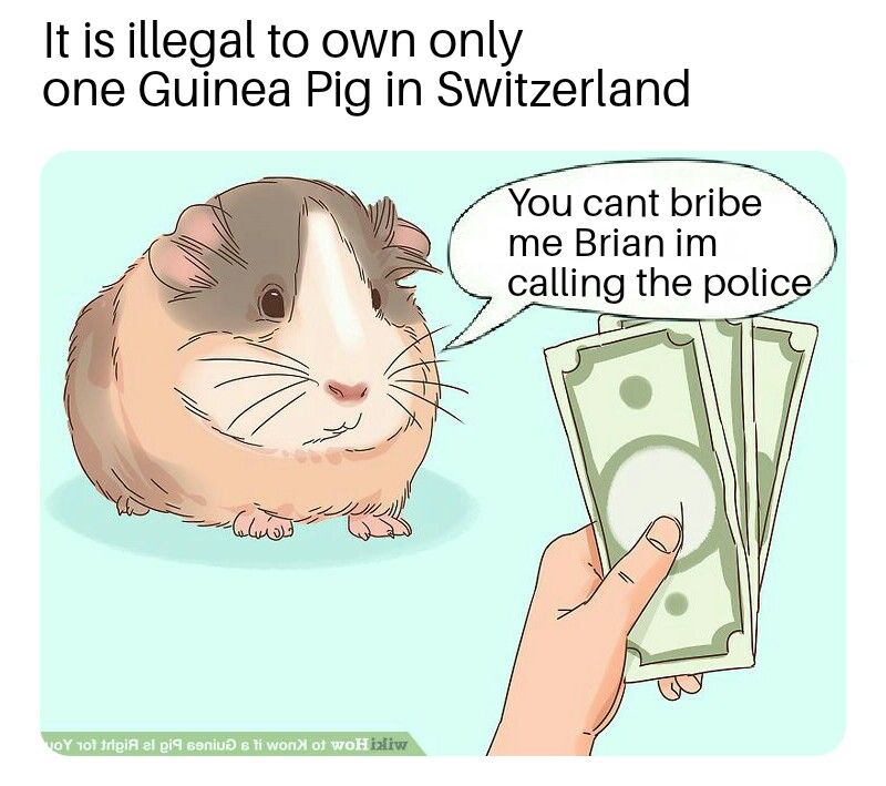 get me a friend or rot in jail, the choice is yours