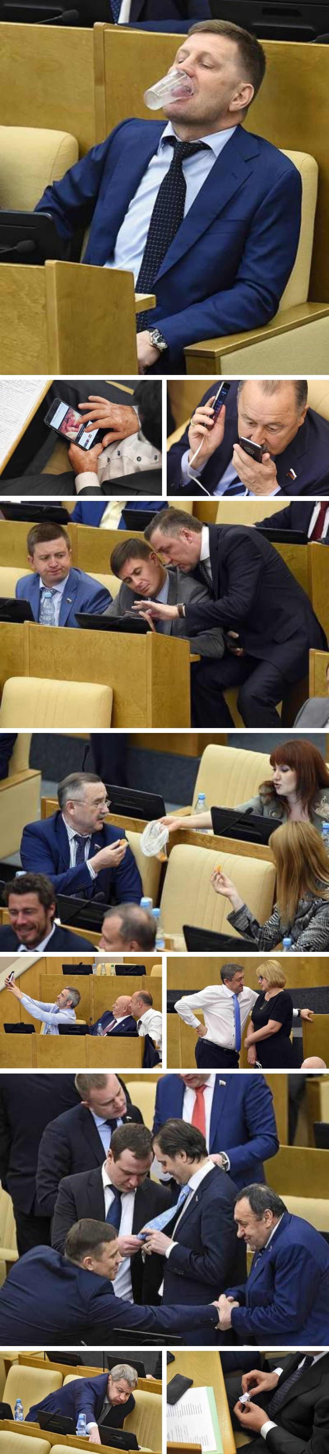 An average day in Russian parliament.