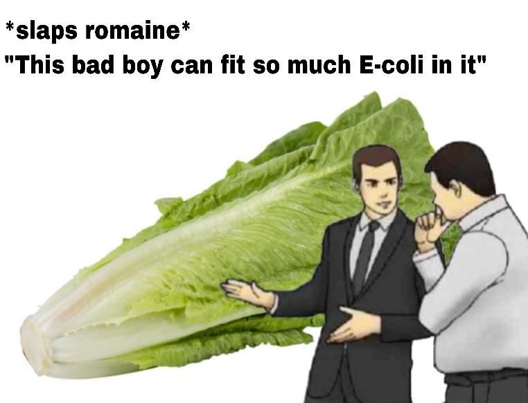 ***in lettuce