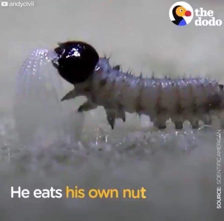 What people who dont NNN do