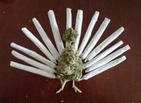 happy thanksgiving from canada!