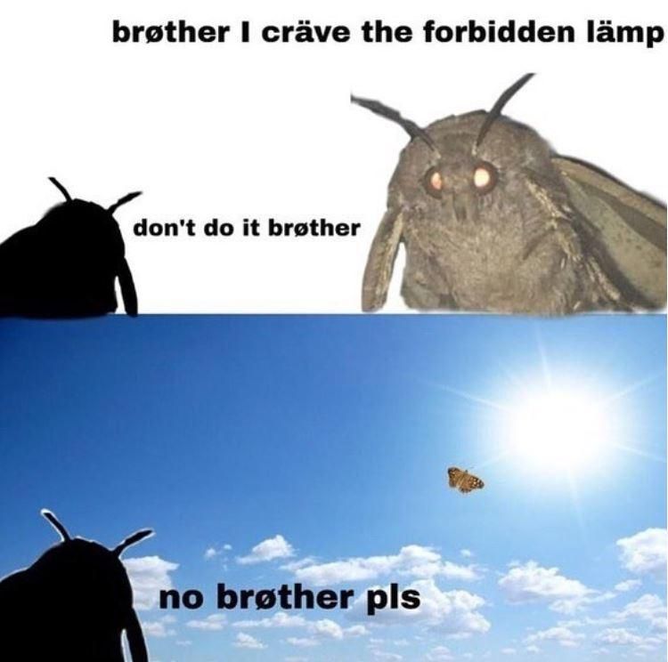 The forbidden lamp