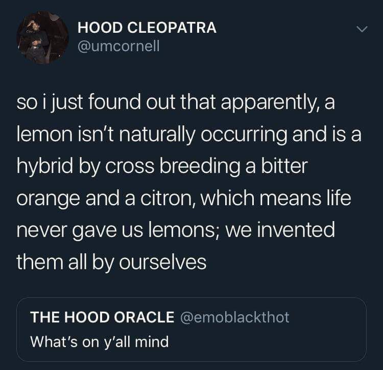 When you give life lemons...