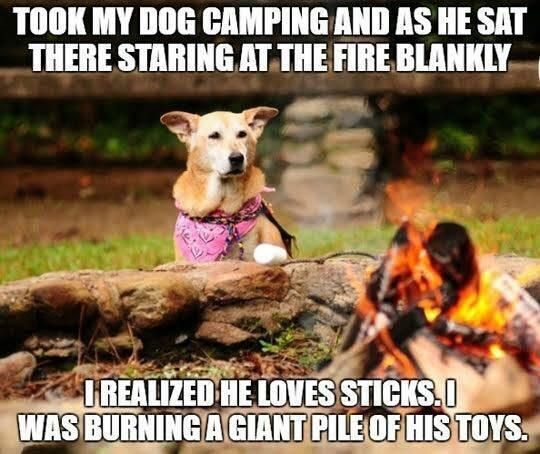 My dog won't go camping with me anymore.