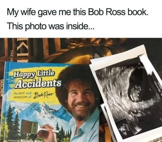 My wife gave me this Bob Ross Book: