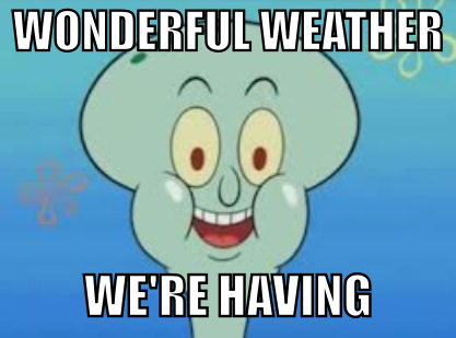 When you crawl out of your cave and interact with people for the first time