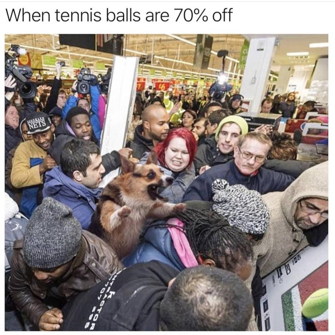 Imma bust those kneecaps if your don't get your paws of my tennis balls