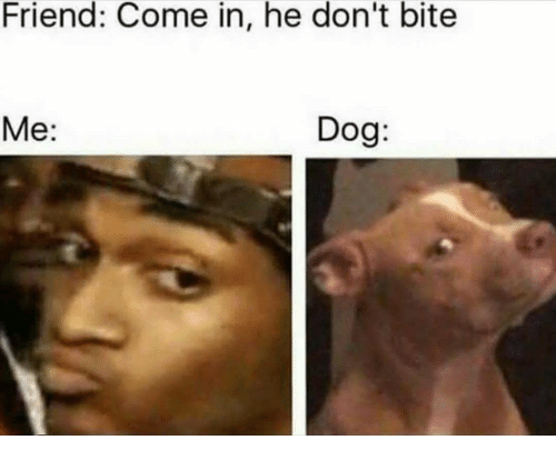 I do bite dogs though