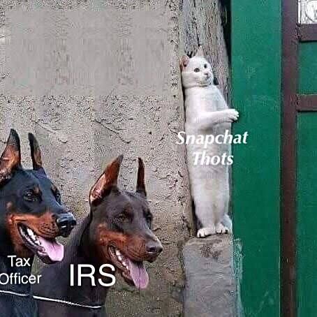 Time to pay your taxes
