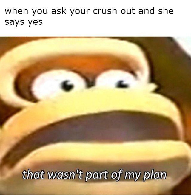 What am I supposed to do now ?