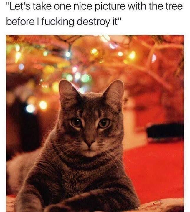 Every Christmas