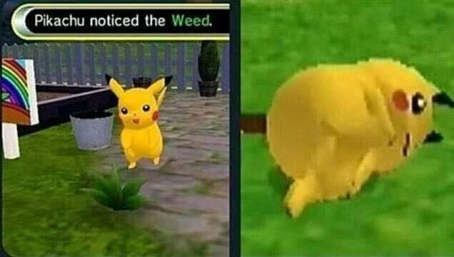 oof