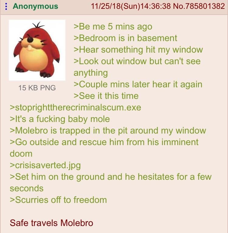 Anon gets a visit