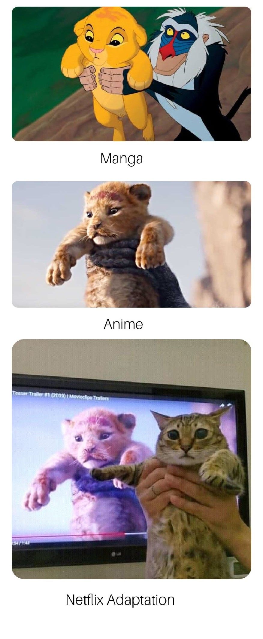 Looks good