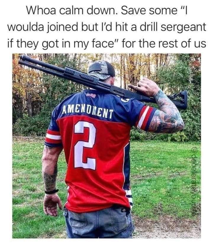 gun