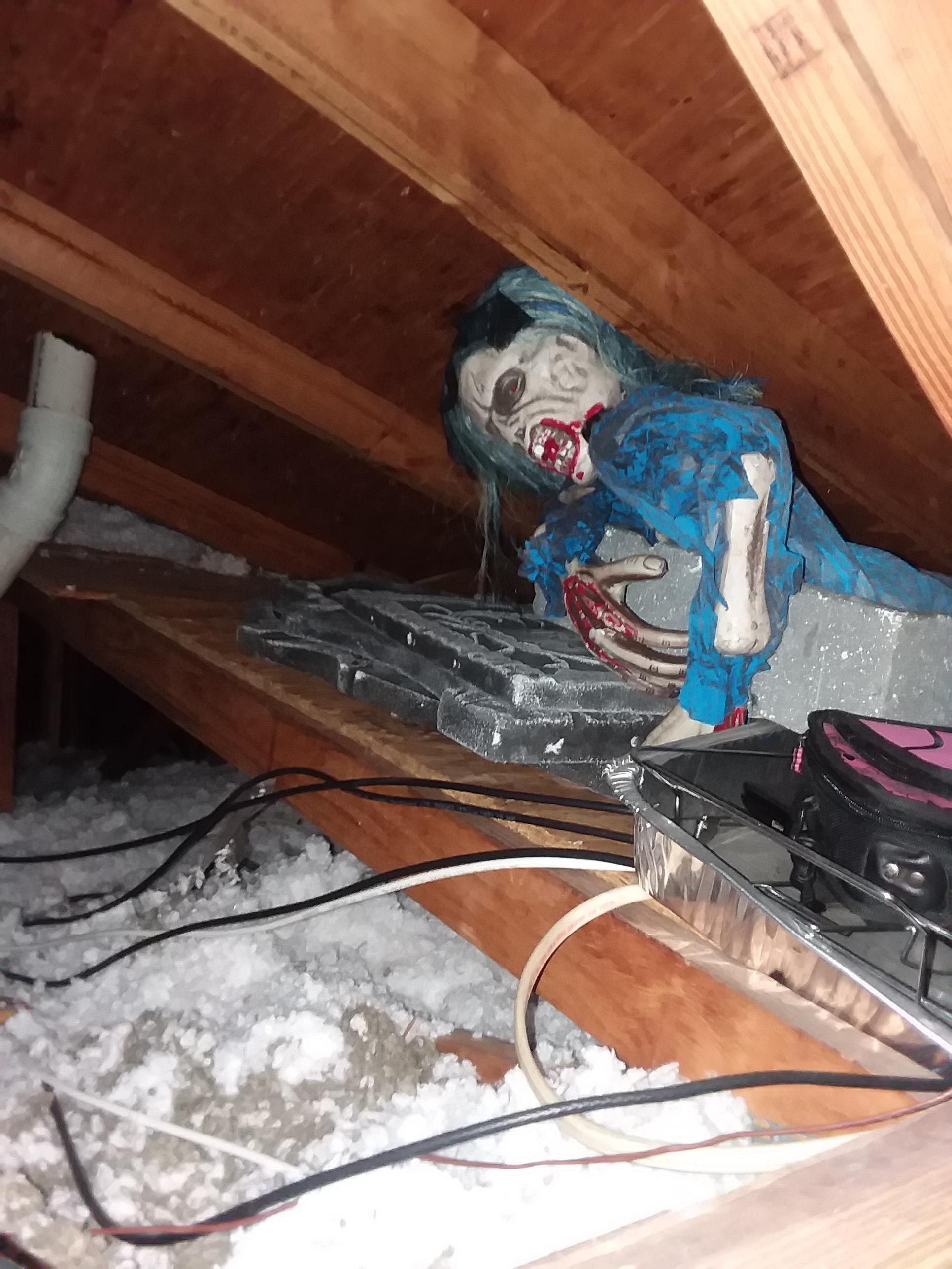 So I go into my girl's attic to get Christmas decorations, and I'm met with this.