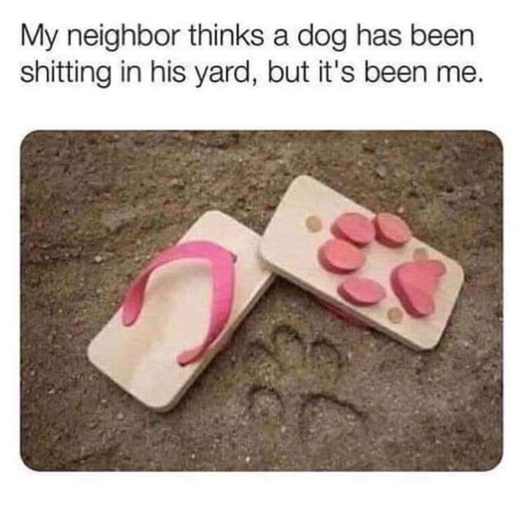 My neighbor suspects my dog is pooping in their yard.