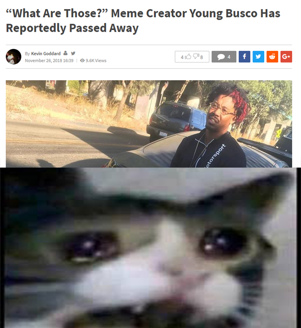 sleep tight sweet prince