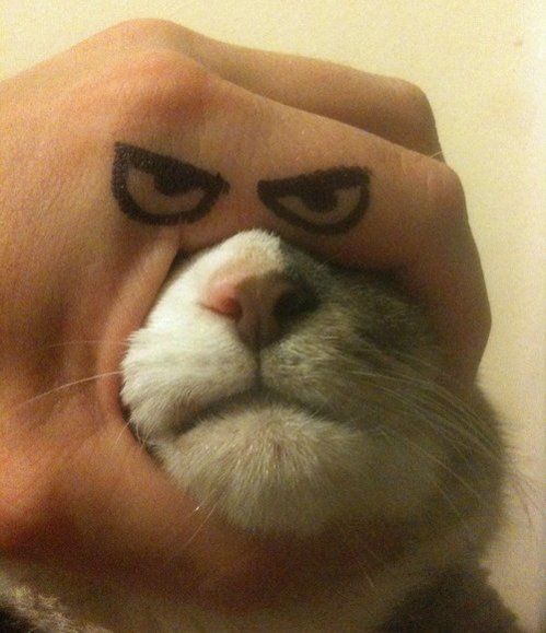 meh