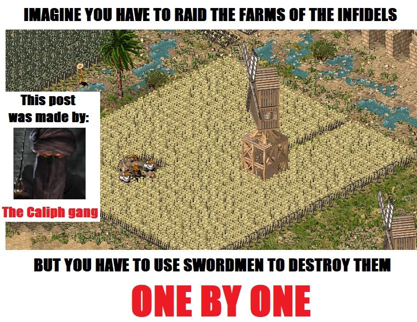 Yet again, the Caliph must show you how to fight?!