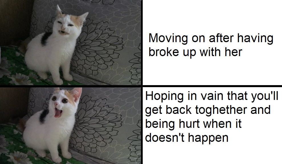 I'll never ***ing learn