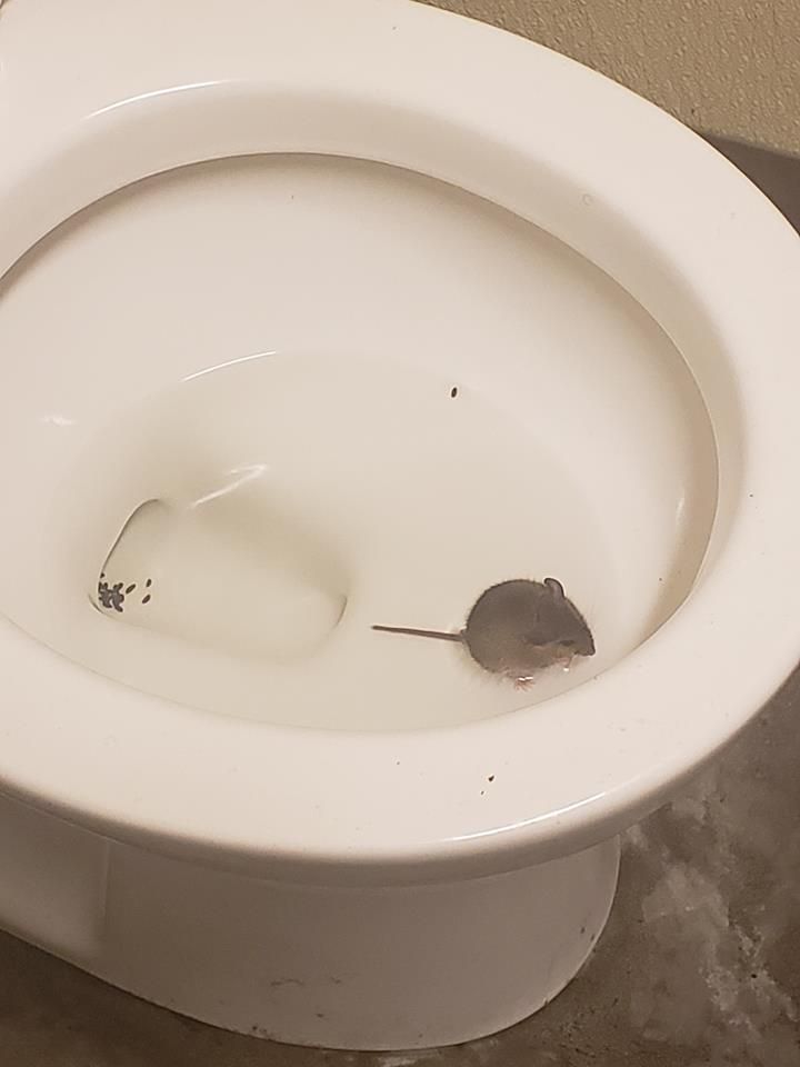 just a little dude goin potty
