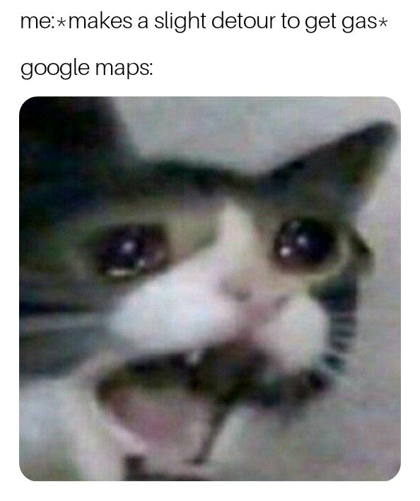 *Panic mode enabled*