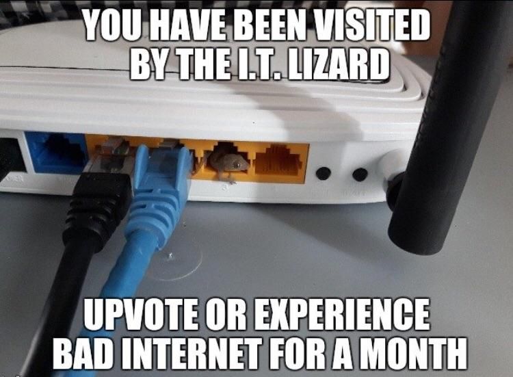 I bet you don’t want bad internet