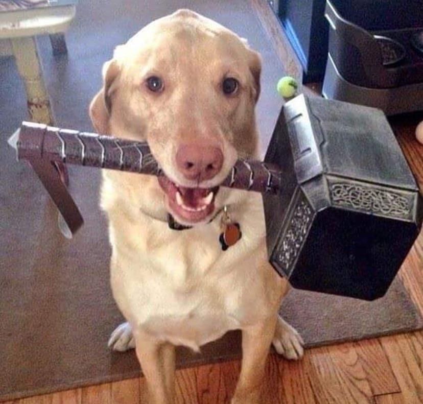 Whosoever holds this hammer, if he be worthy, shall possess the power of Thor