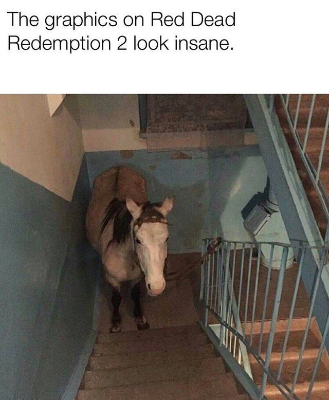 Is this horse glitched?