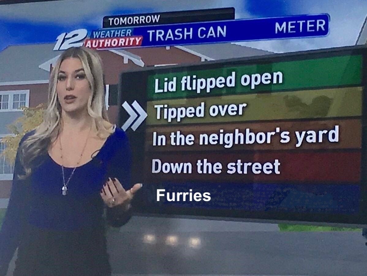 They're culturally appropriating the trash pandas UwU