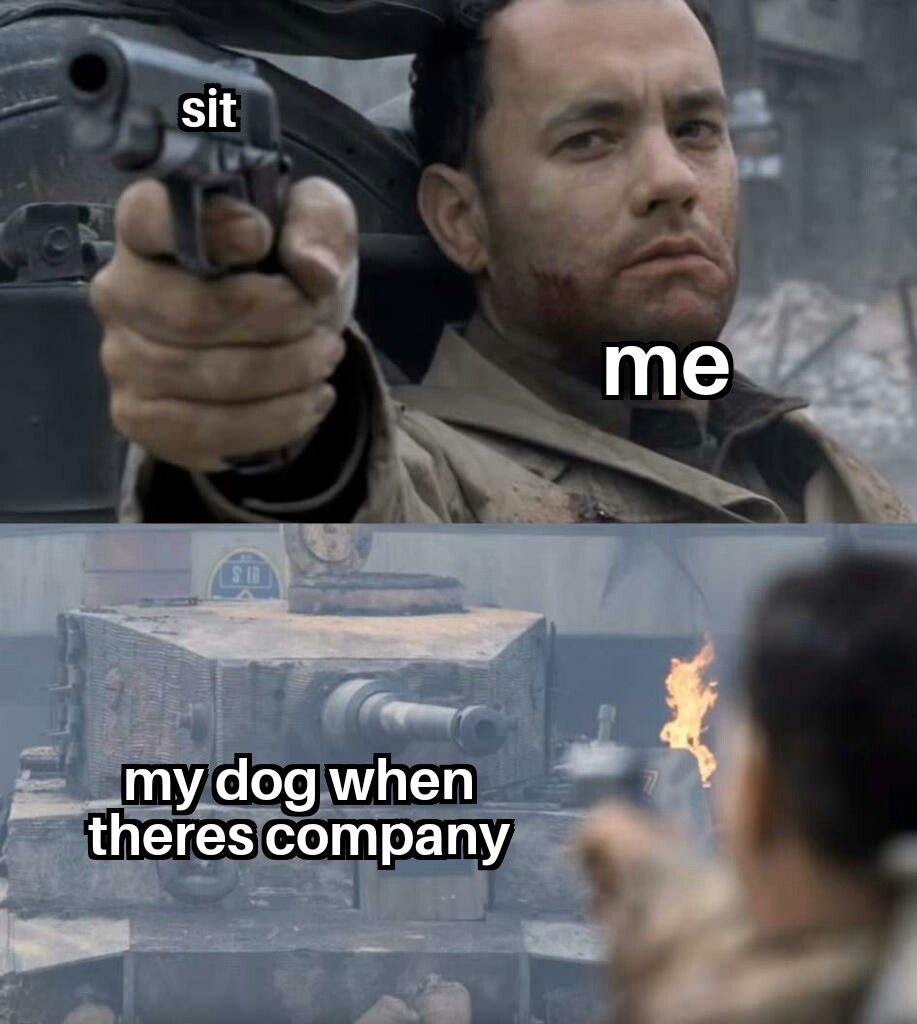 lets be honest he doesnt listen when we dont have company too
