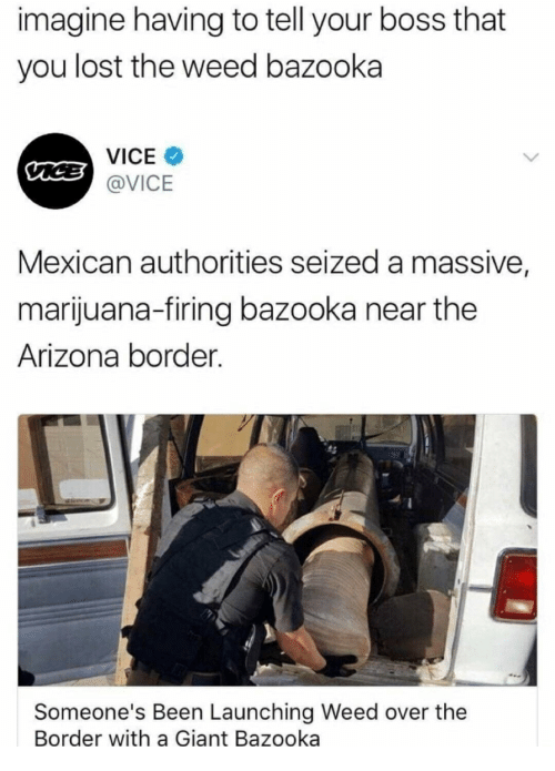 For once Vice got it right