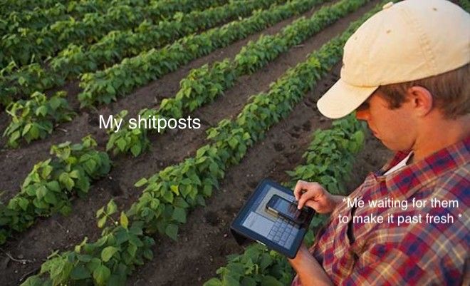 I'm gonna force farming memes down your throats
