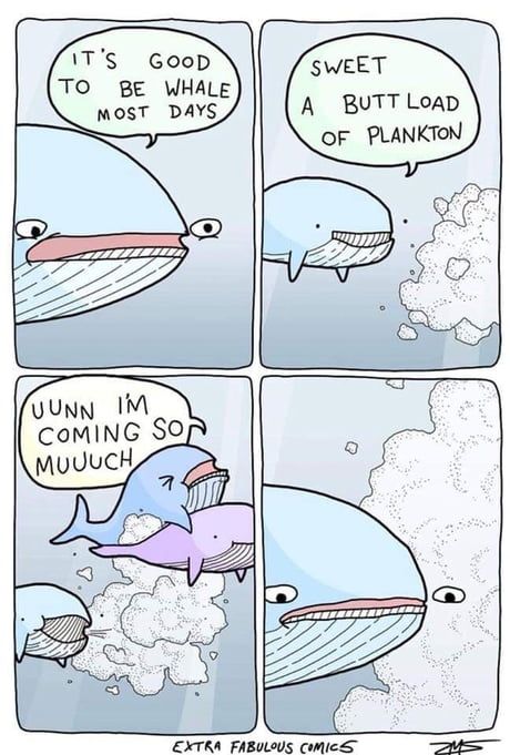 Even whales are affected by NNN.