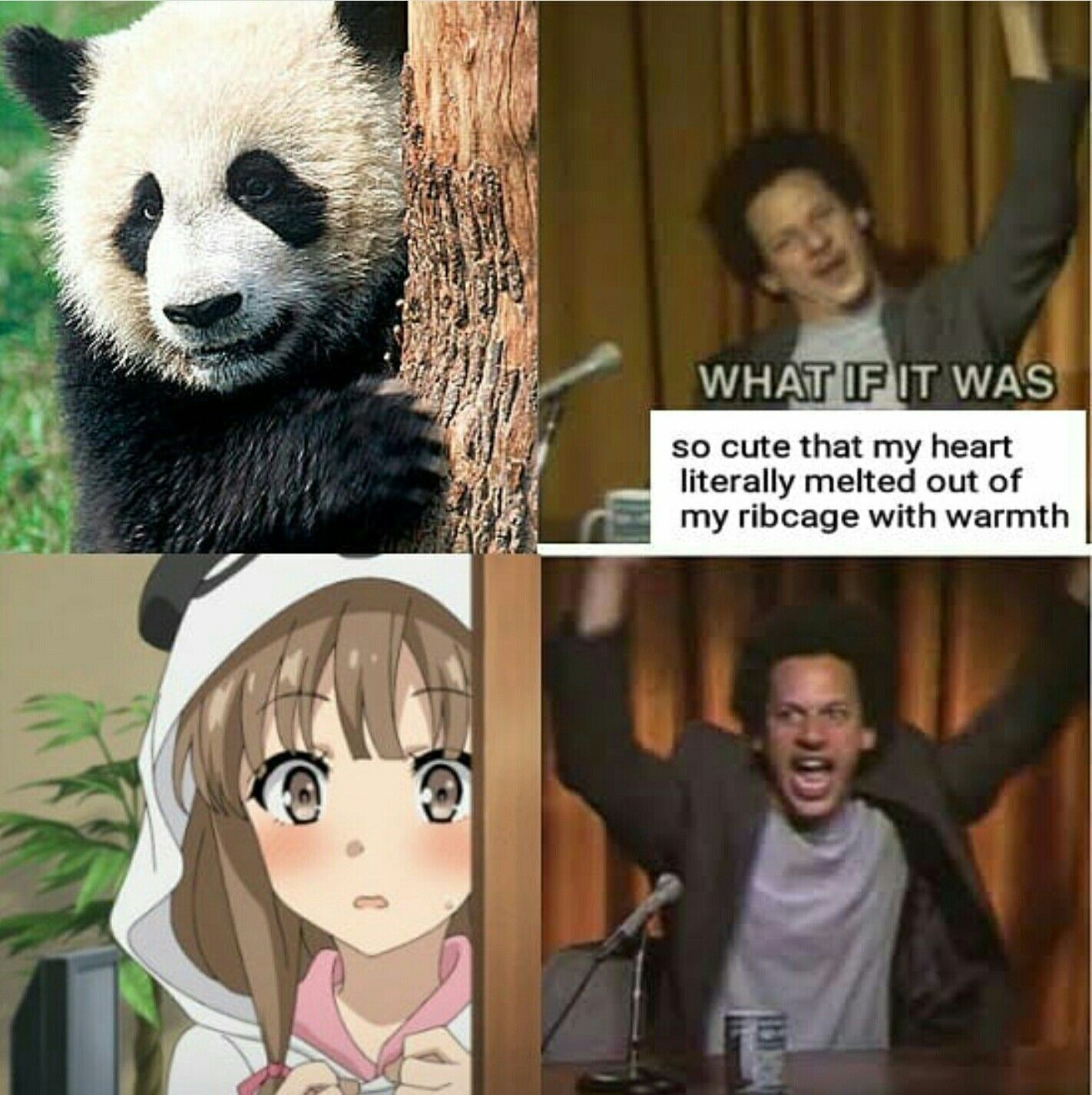 I think I need a transplant now UwU