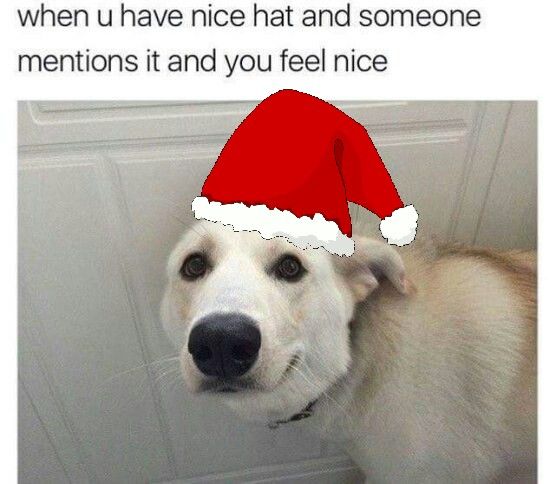 why yes im feeling very festive thank you for noticing