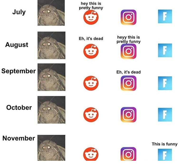 lämp bröther