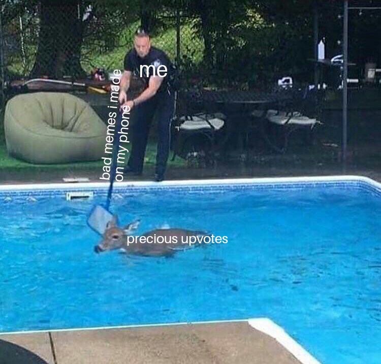 just get in the skimmer. for everyones sake