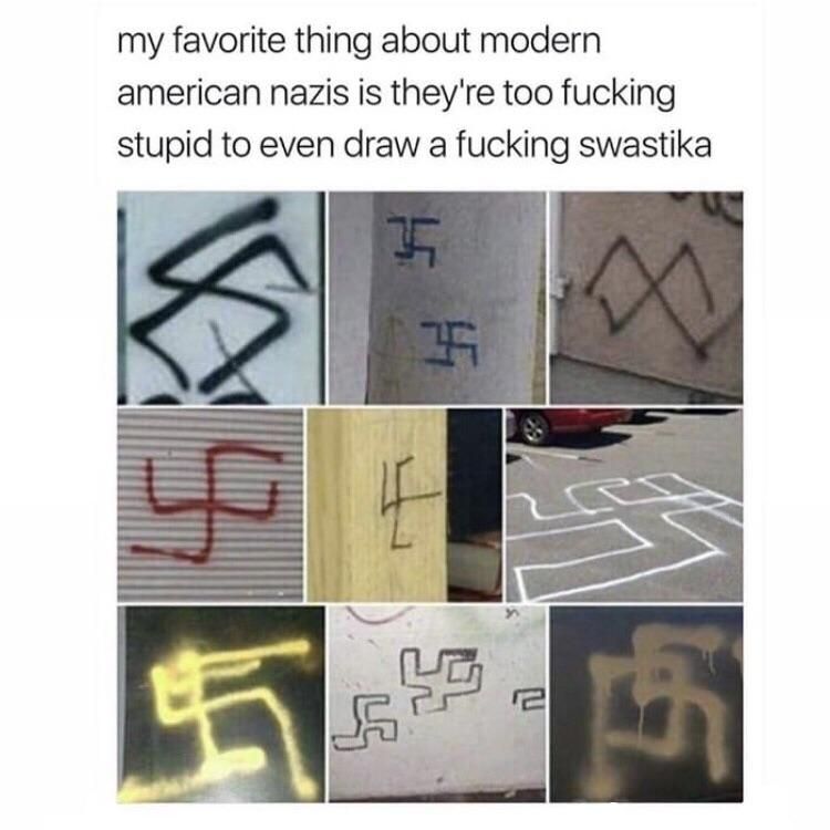 modern american nazis