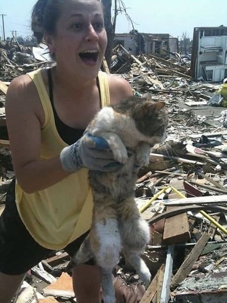Lady finds her cat alive 16 days after a tornado