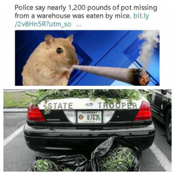 "mice" yeah, ok