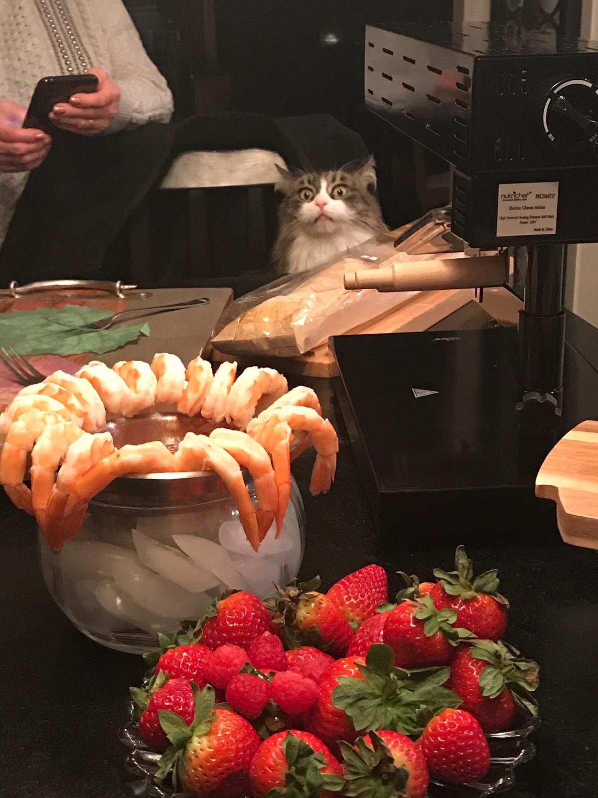 My mother in law's cat is obsessed with shrimp. She makes this face whenever there is shrimp on the table.