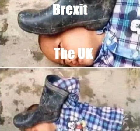 Anyone against brexit is a paid shill sheeperson
