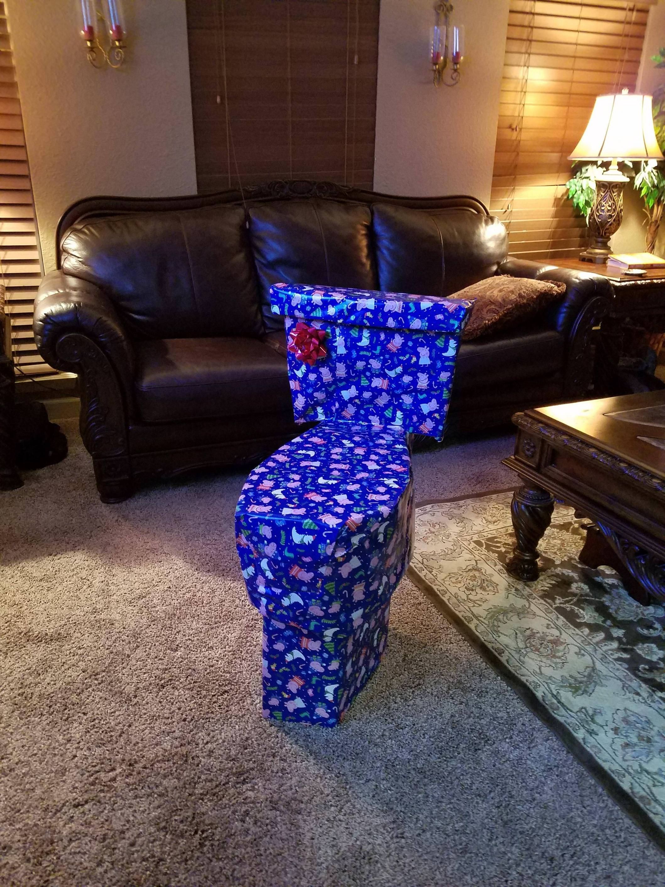 Every year I try to disguise my sister's Christmas present. This year I think I went a little too far...