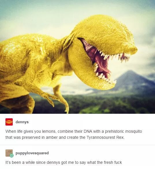 Lemon, an apex predator