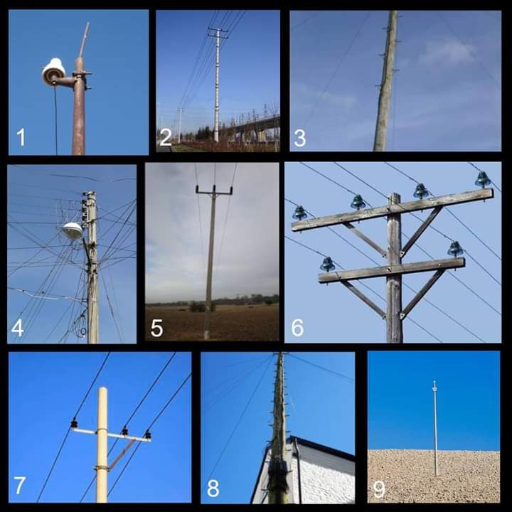 Which type of pole are you today?