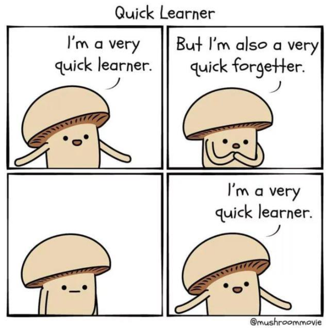 Quick learner